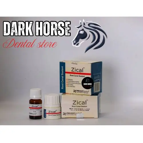 Root canal sealant 
